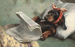 Hond die een krant leest